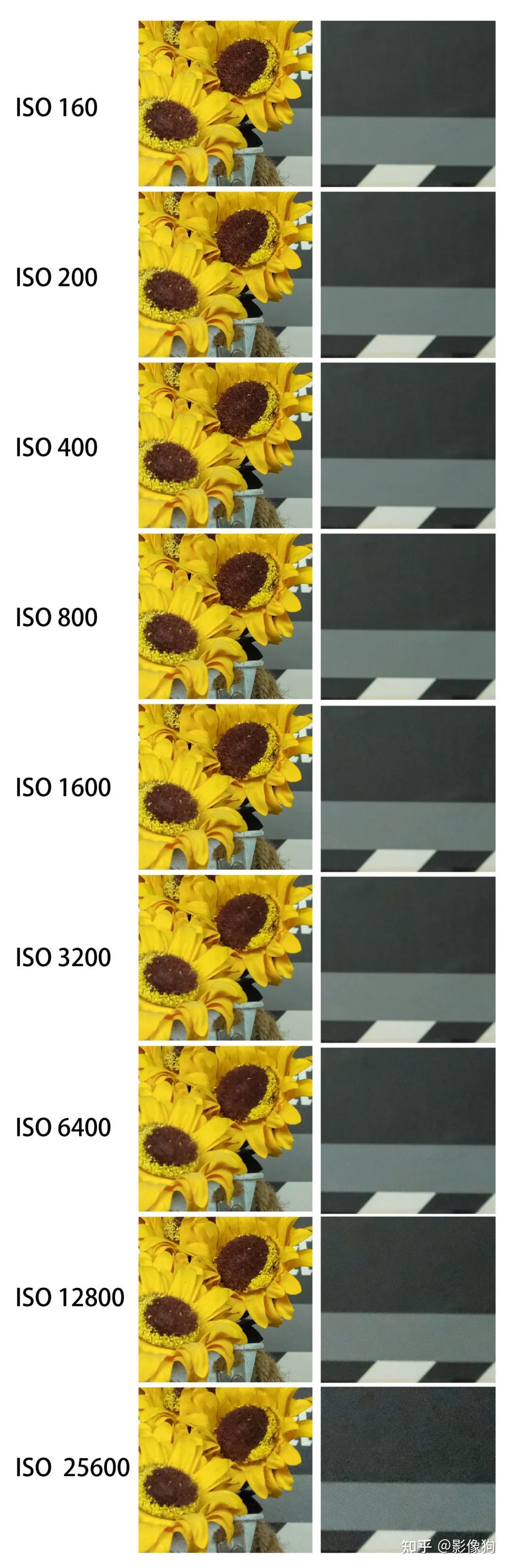 我们截取画面的部分查看随着高感变化后,细节和暗部噪点产生的变化