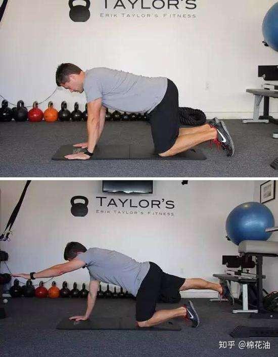 力量训练是青春的源泉适合老年人的八个徒手锻炼动作