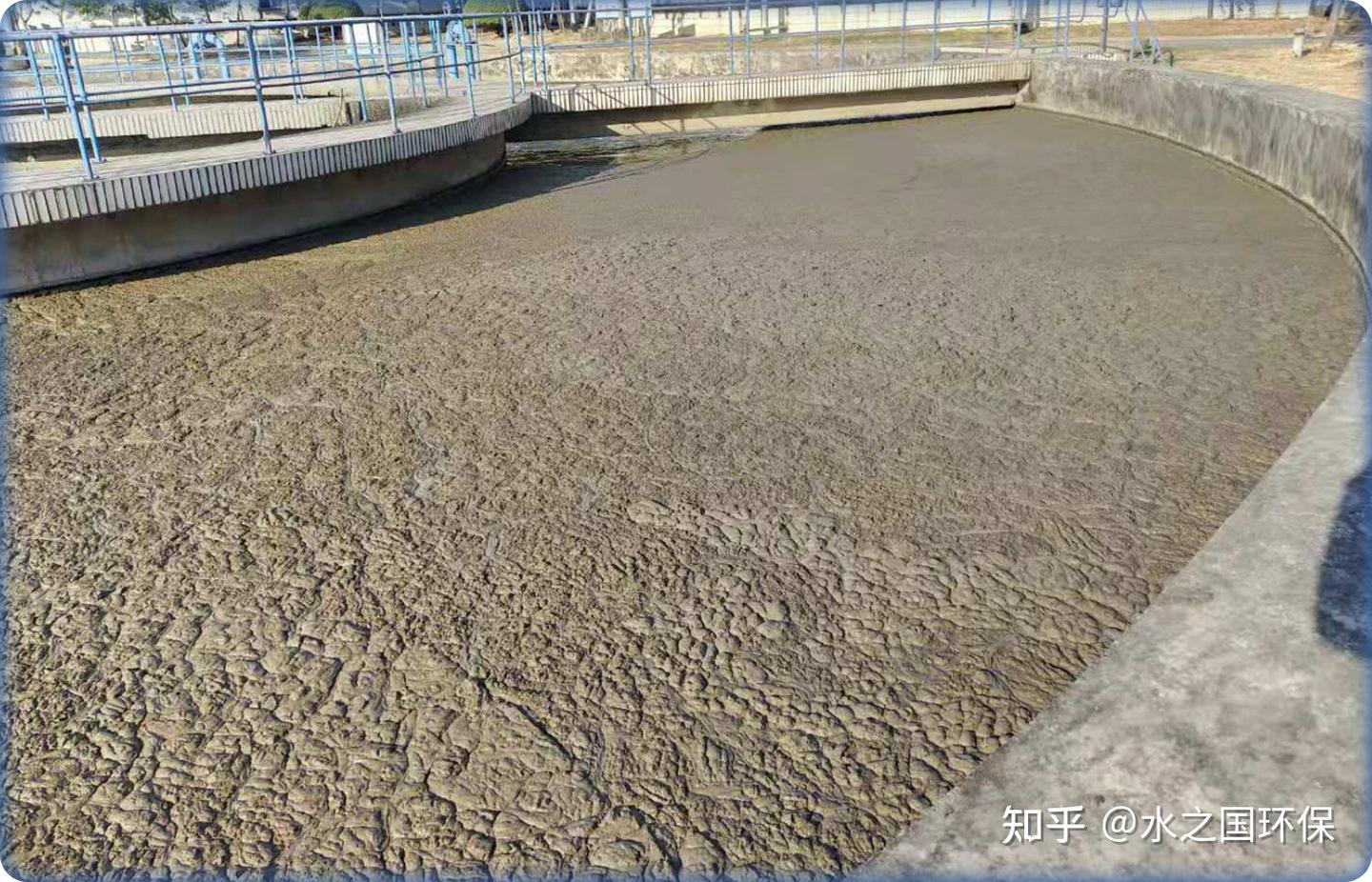 活性污泥膨胀机理、成因你知道吗? - 知乎