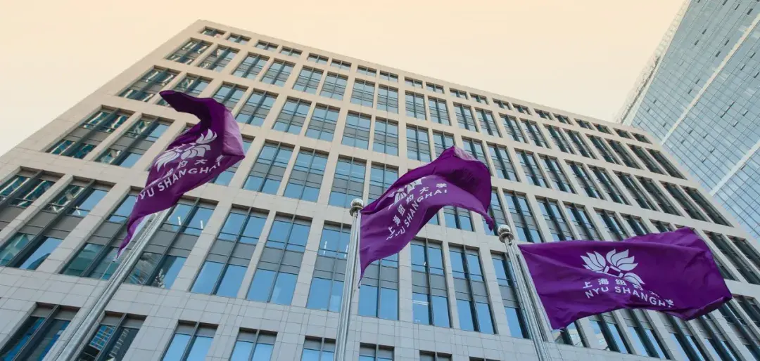 上海纽约大学/stern商学院又联合新开两大新项目!