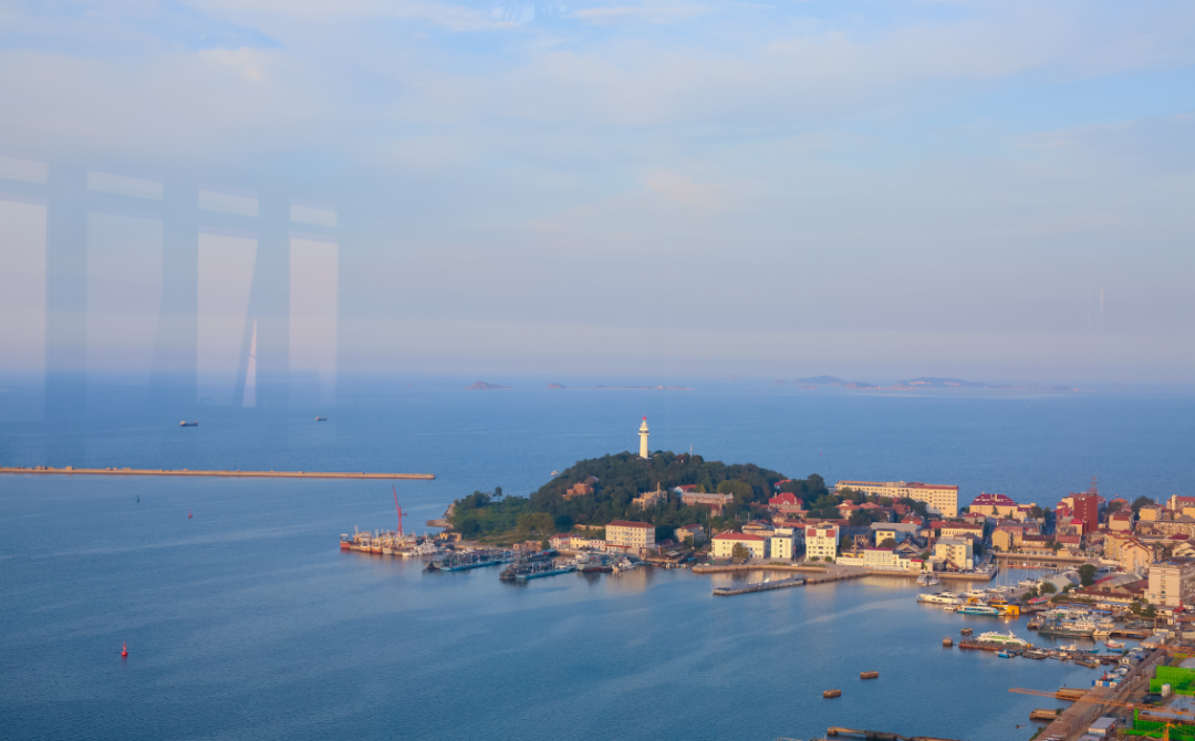 烟台外滩新物种为什么能卖3万