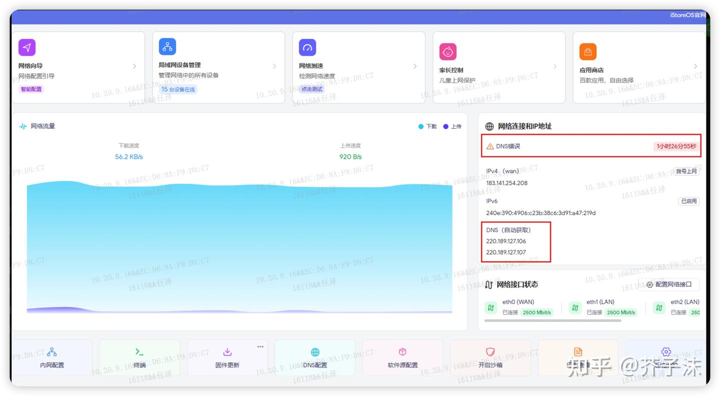 iStoreOS 22.03升级到24.10版本后,DNS错误的解决办法