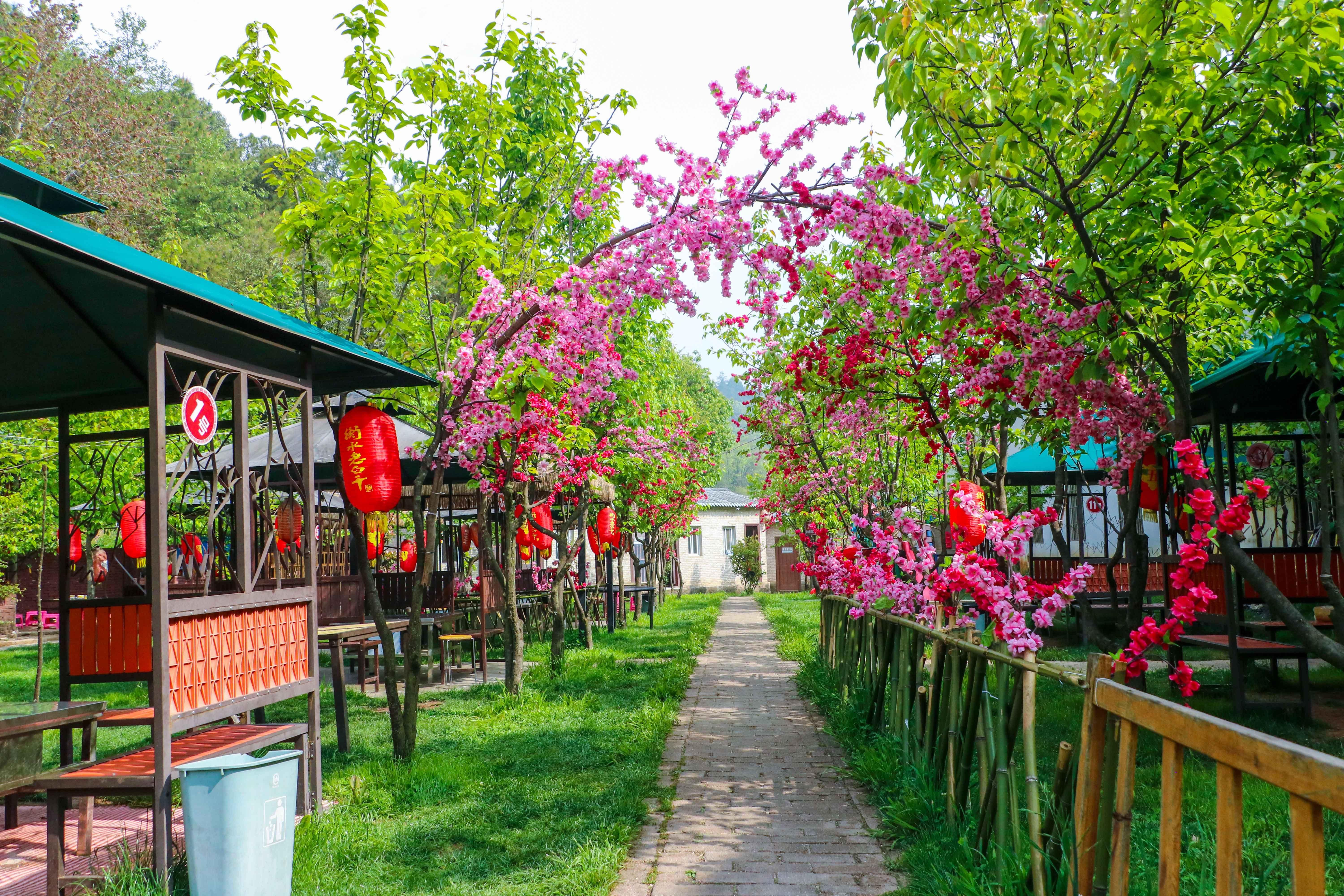 鑫和园休闲山庄户外团建拓展基地