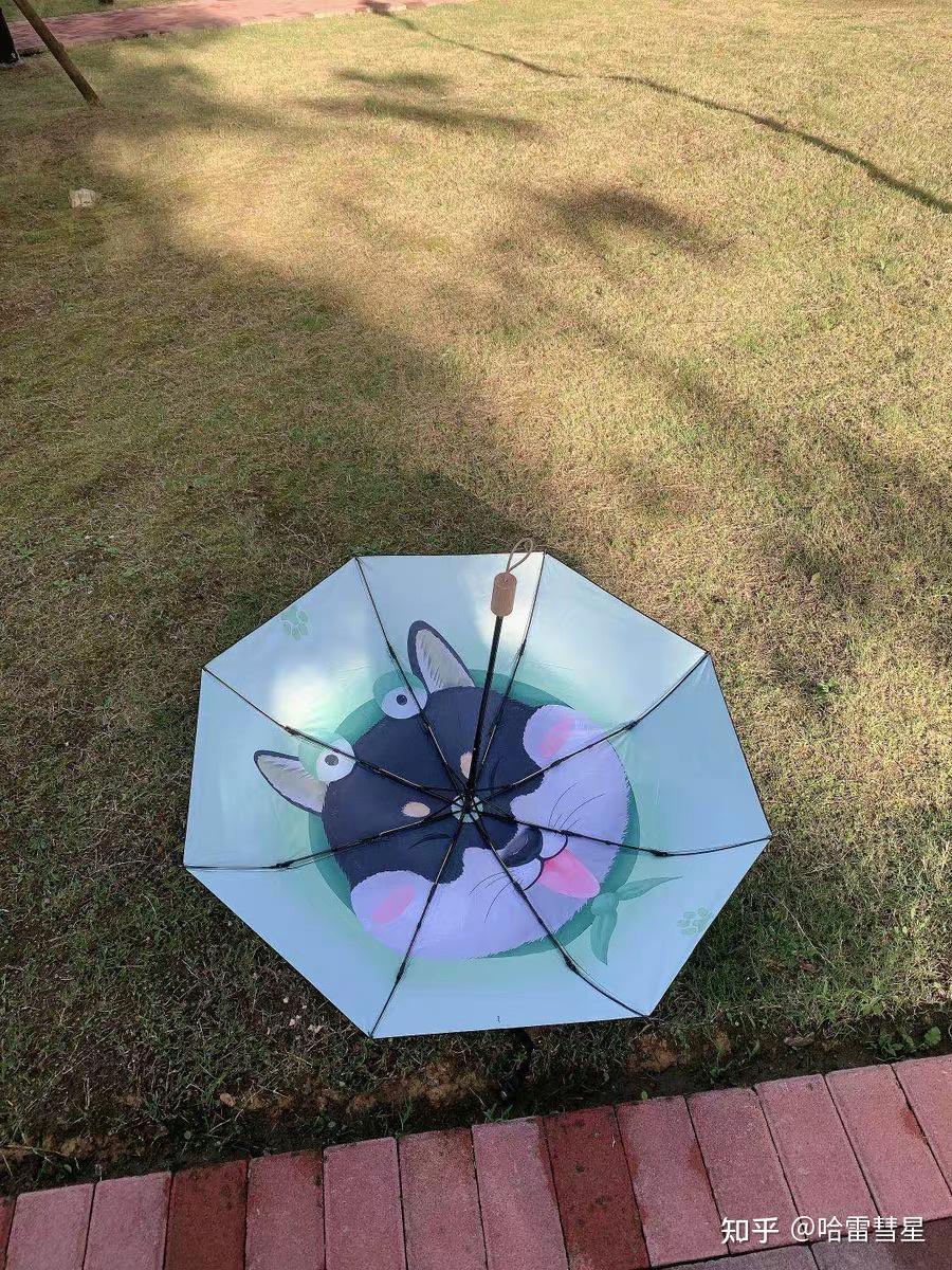 有没有小姐姐安利遮阳伞? - 知乎