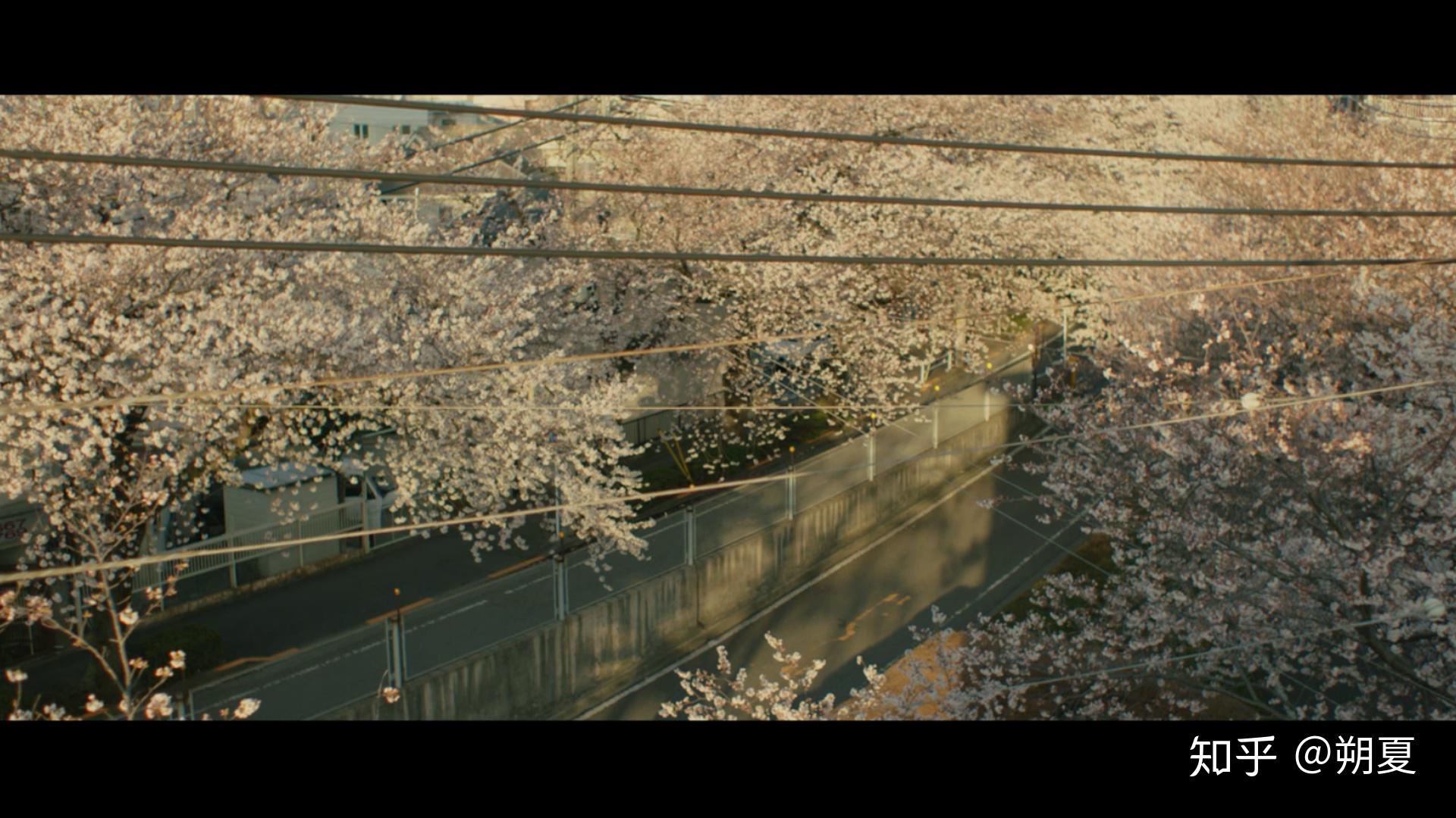 《澄沙之味》 - 知乎