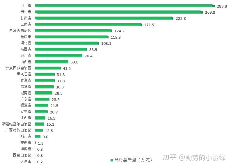 马铃薯品种226产量图片