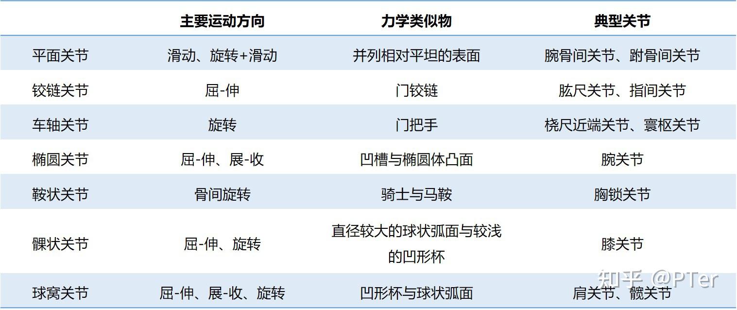 人体车轴关节图片