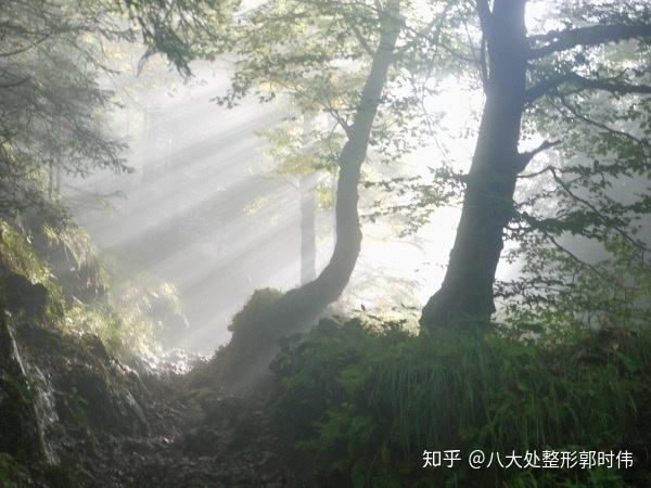 关于玻尿酸填充泪沟产生"丁达尔现象"问题精讲