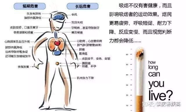 戒烟身体变化图片