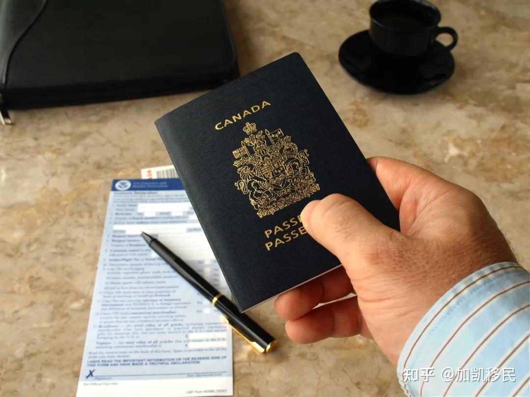 加拿大移民签证上的im-1是什么意思