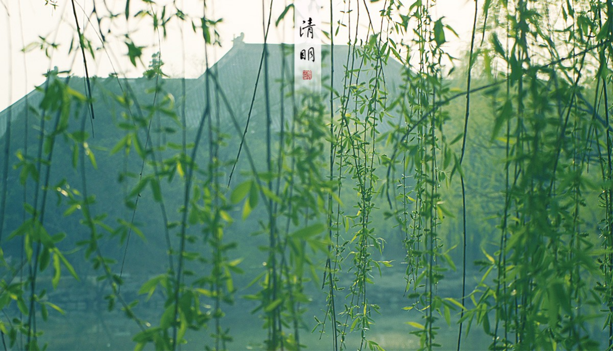 清美考研视觉传达方向经验分享:应届生8个月考