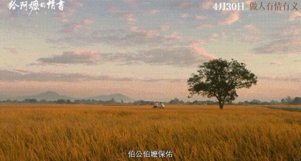 《给阿嬷的情书》豆瓣9.1，“最穷”剧组，拍出最好国产爱情片！