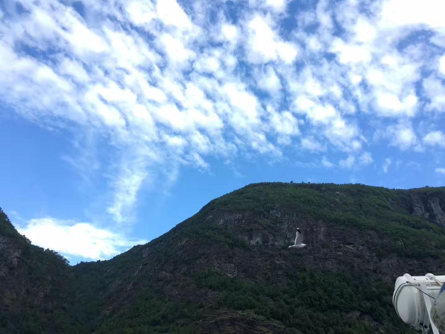 华为P20 pro 白天拍照效果感觉太假了,尤其是拍