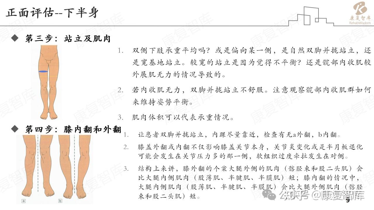 “直视你的身体正中线——评估从正面开始” - 知乎