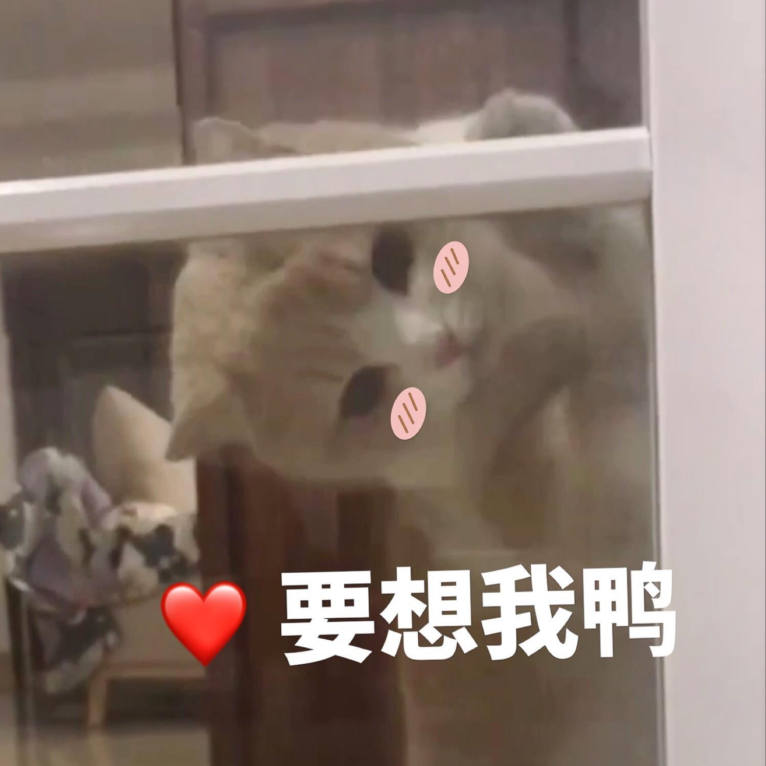 女生撒娇专用表情包,速速收藏! - 知乎