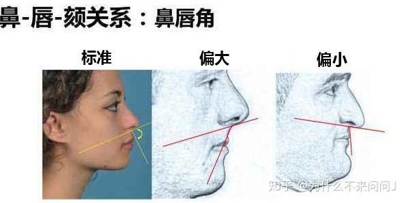 你见过最挺的鼻子是什么样的? - 知乎
