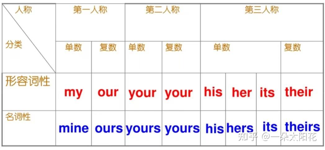 指示代词?物主代词?反身代词?这些你分得清楚吗? - 知乎