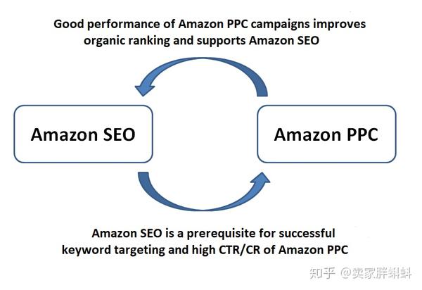amazon seo与amazon ppc –为什么两者都需要