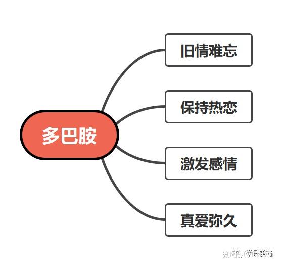 心理学第1期多巴胺爱情的毒药
