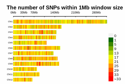 SNP在染色体上的分布图怎么做？代码搞定 - 知乎