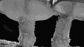 如何改善射精 提高性快感 知乎