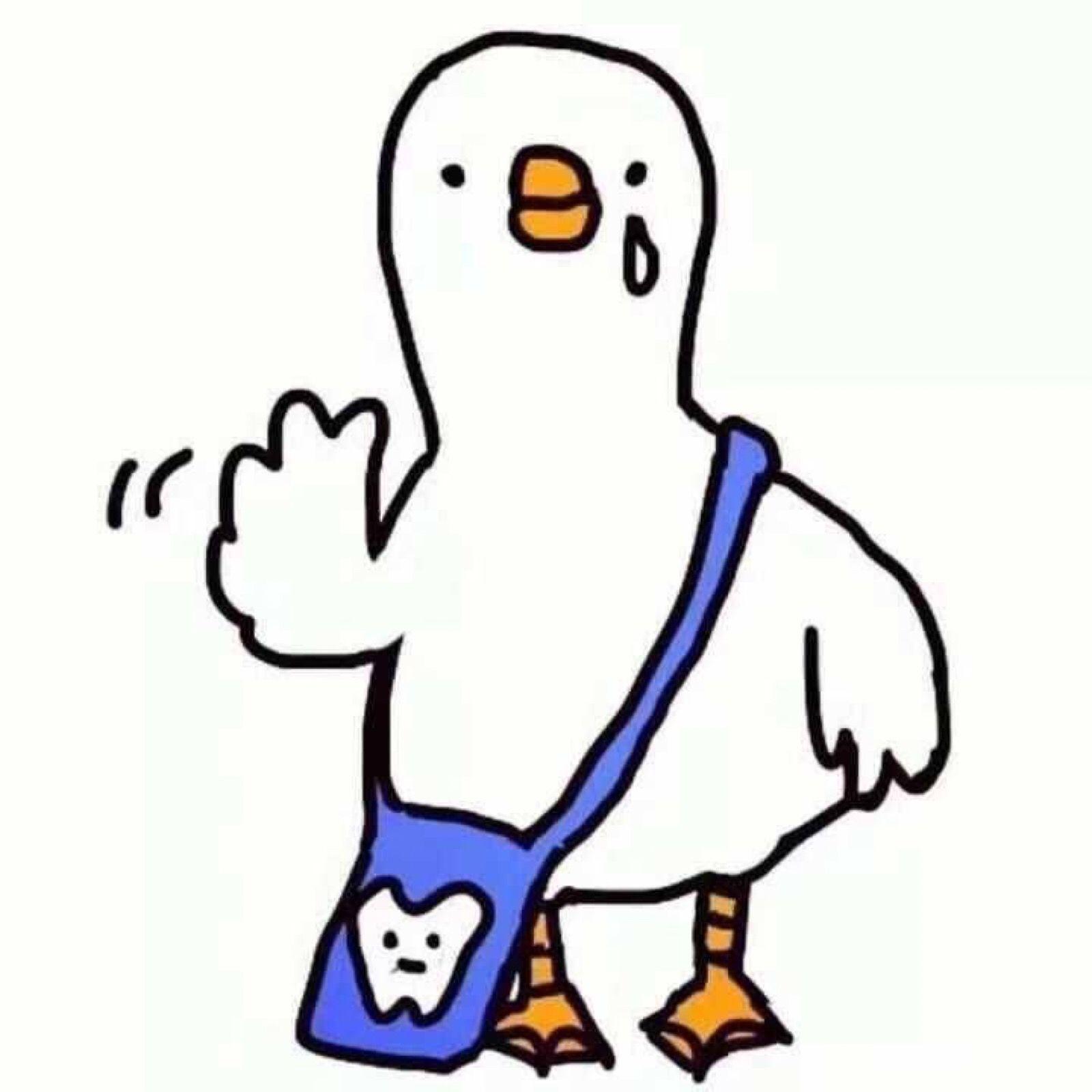 有哪些可爱又不失搞笑的头像? - 知乎