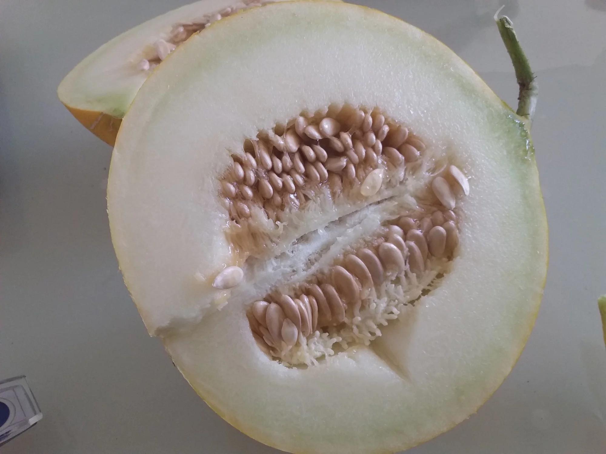 新疆哈密瓜黄蛋子品系味道还是不错的稍脆多汁香味很浓