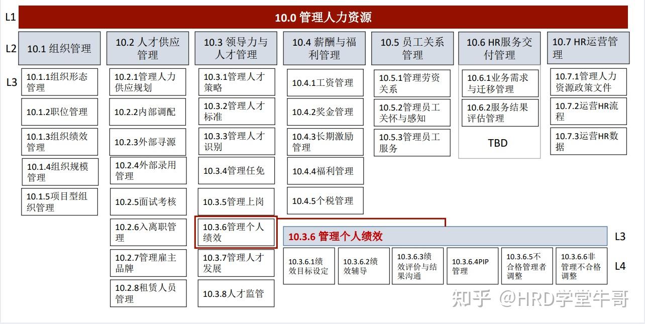 华为,字节跳动,阿里等哪个组织更优秀,更值得我们去应聘和职业长期