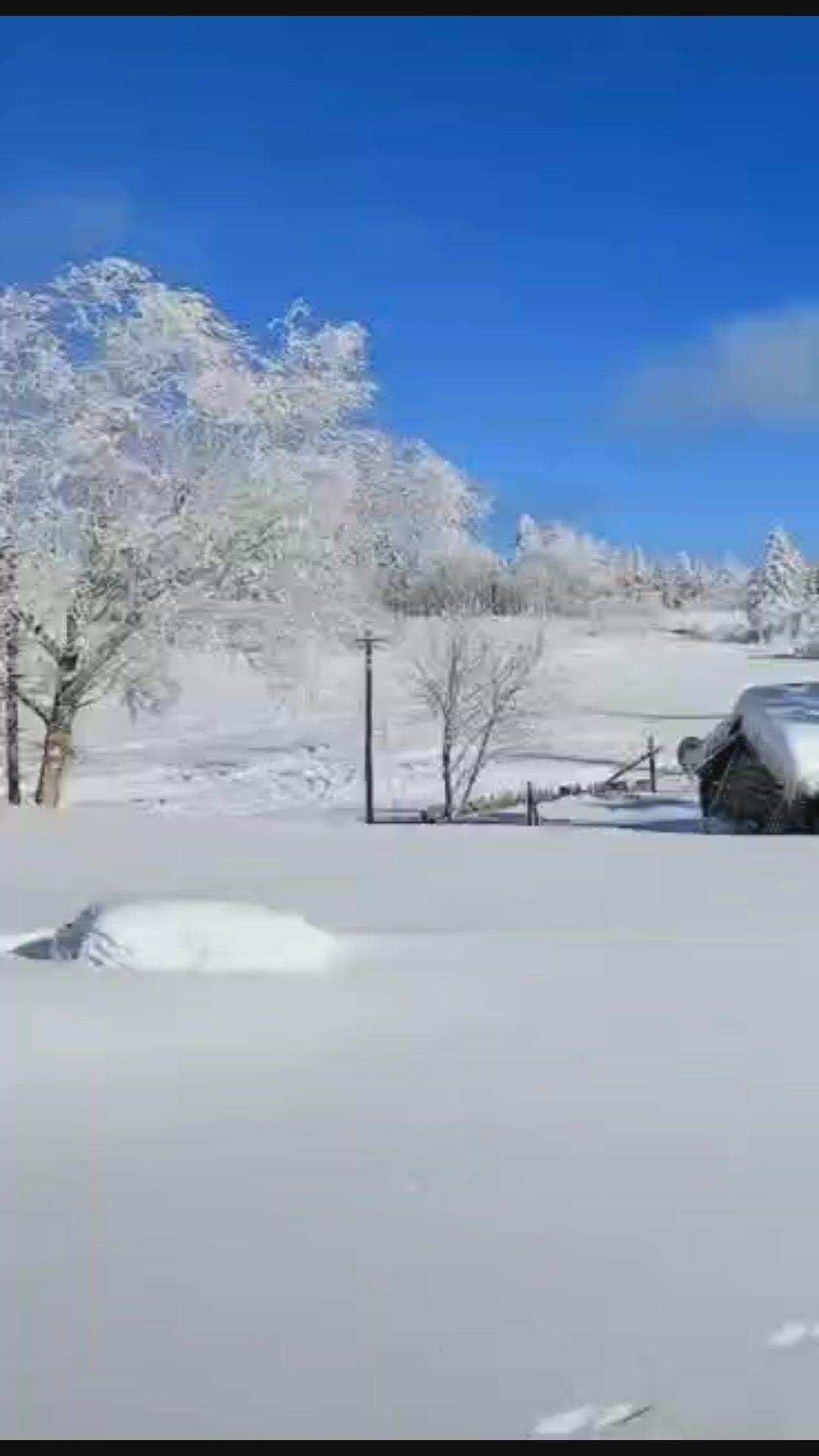 东北的大雪越陷越深
