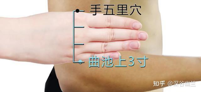 通过解剖手五里穴查病因 - 知乎