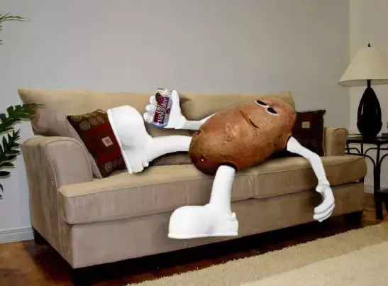 couch potato 成天懒在沙发上的人