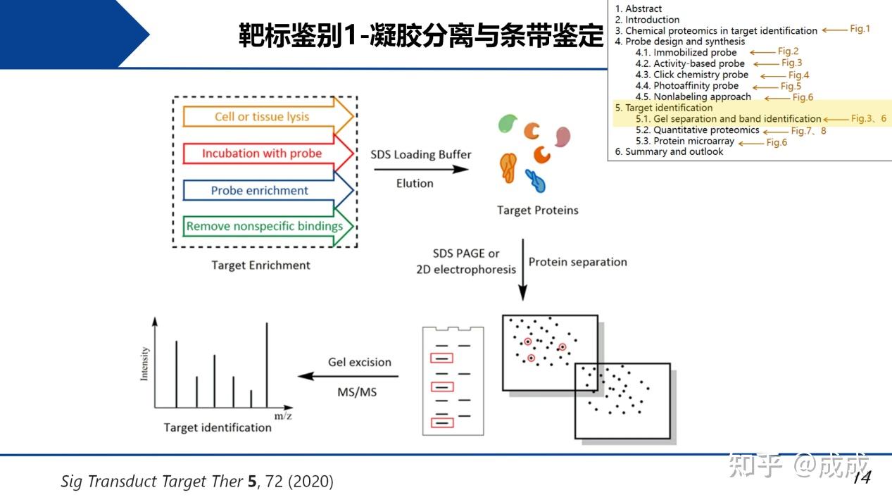 文献解读| 用化学蛋白质组学方法鉴定天然药物的靶标:探针合成、钓靶和蛋白质鉴定 - 知乎