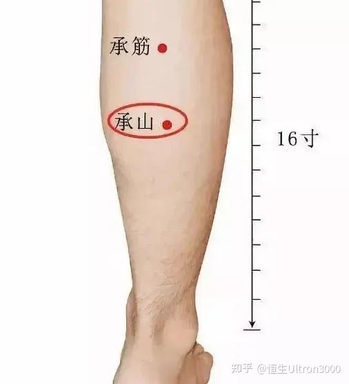 针灸二十八绝穴速记(上部),赶快收藏! - 知乎
