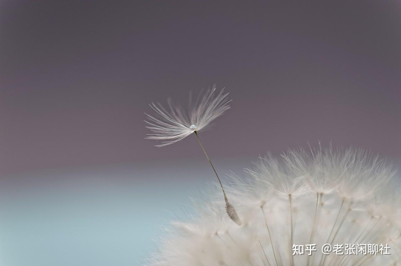 别再劝我熬到退休了!职场30年的老油条算明白:健康比退休金值钱100倍 - 知乎