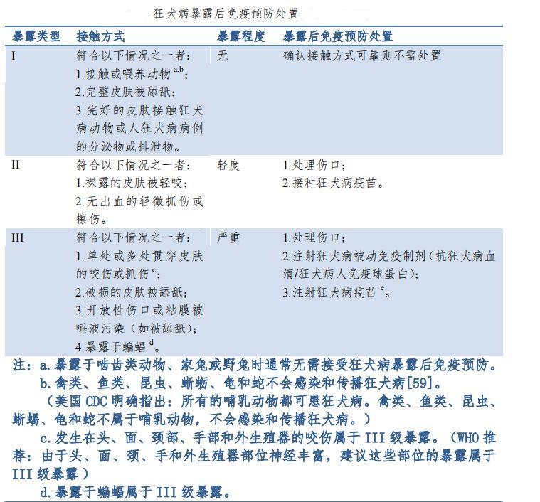 如何正确处理被狗咬的伤口? - 知乎