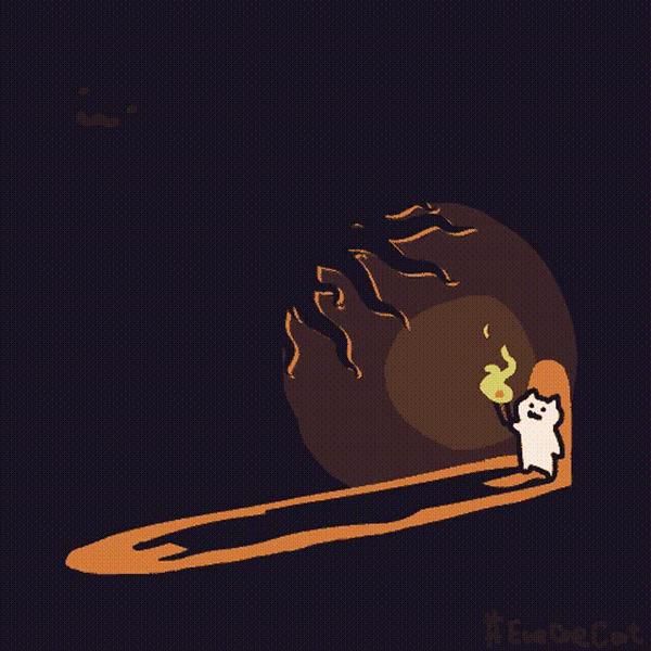 魔性猫猫everyday one cat 表情包