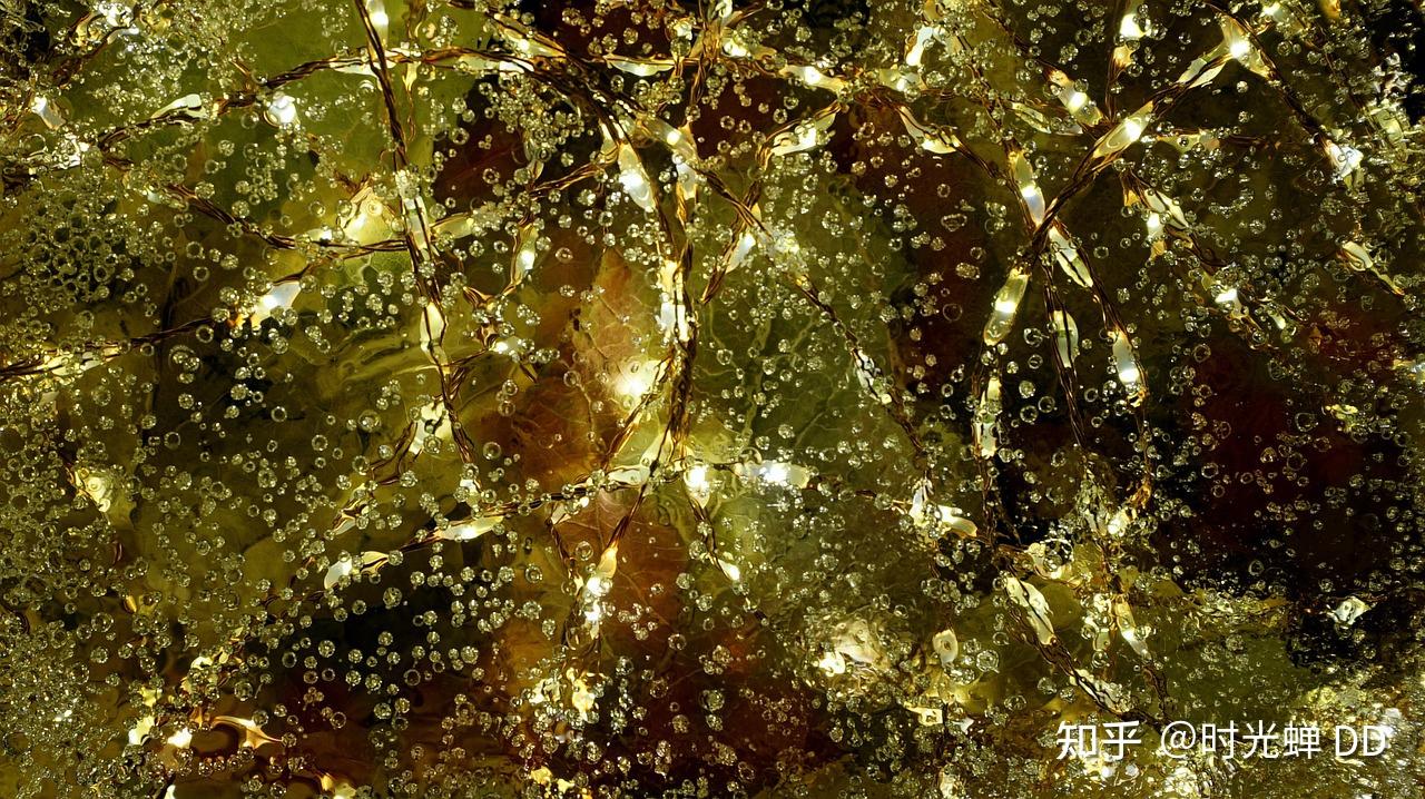 外汇交易图谱：八大货币基本属性剖析|《交易指南》系列六- 知乎