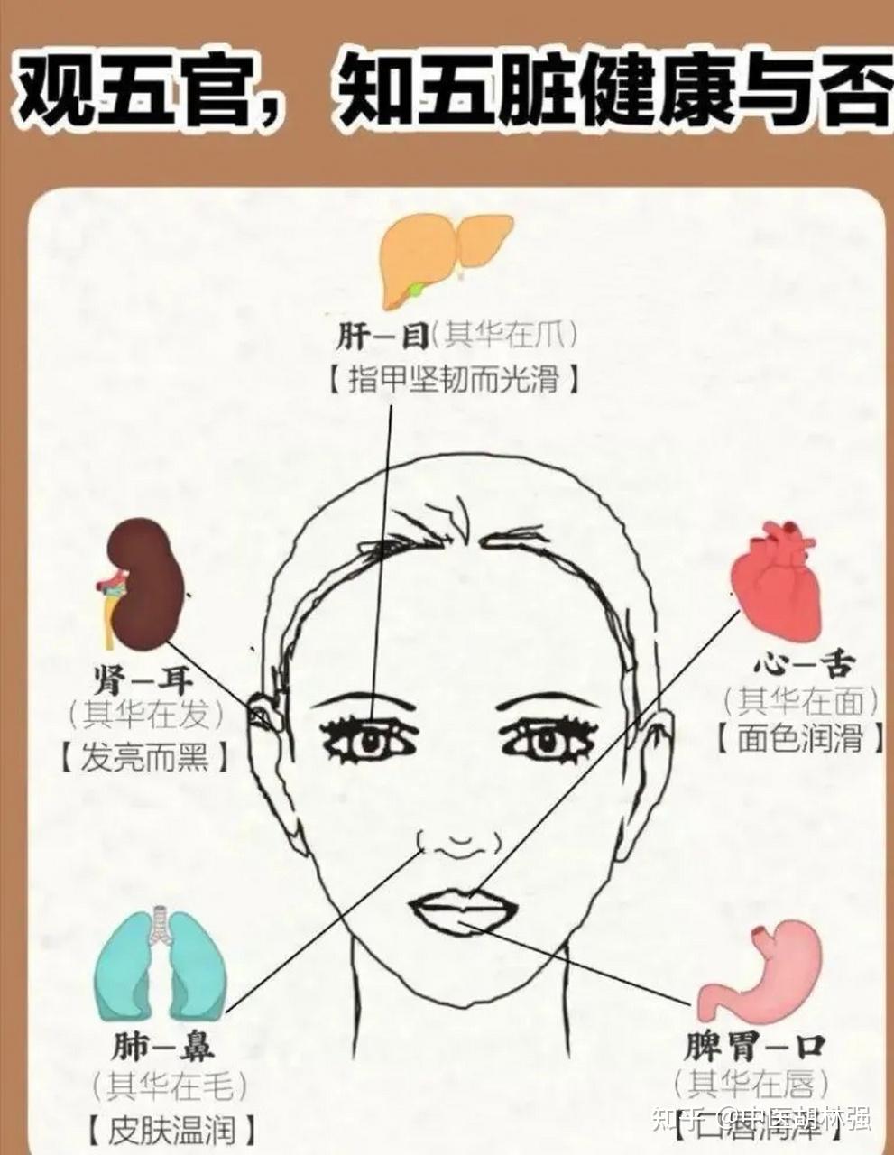 五官是五脏的镜子,身体藏着什么病?看五官就知道,并对症治疗 - 知乎