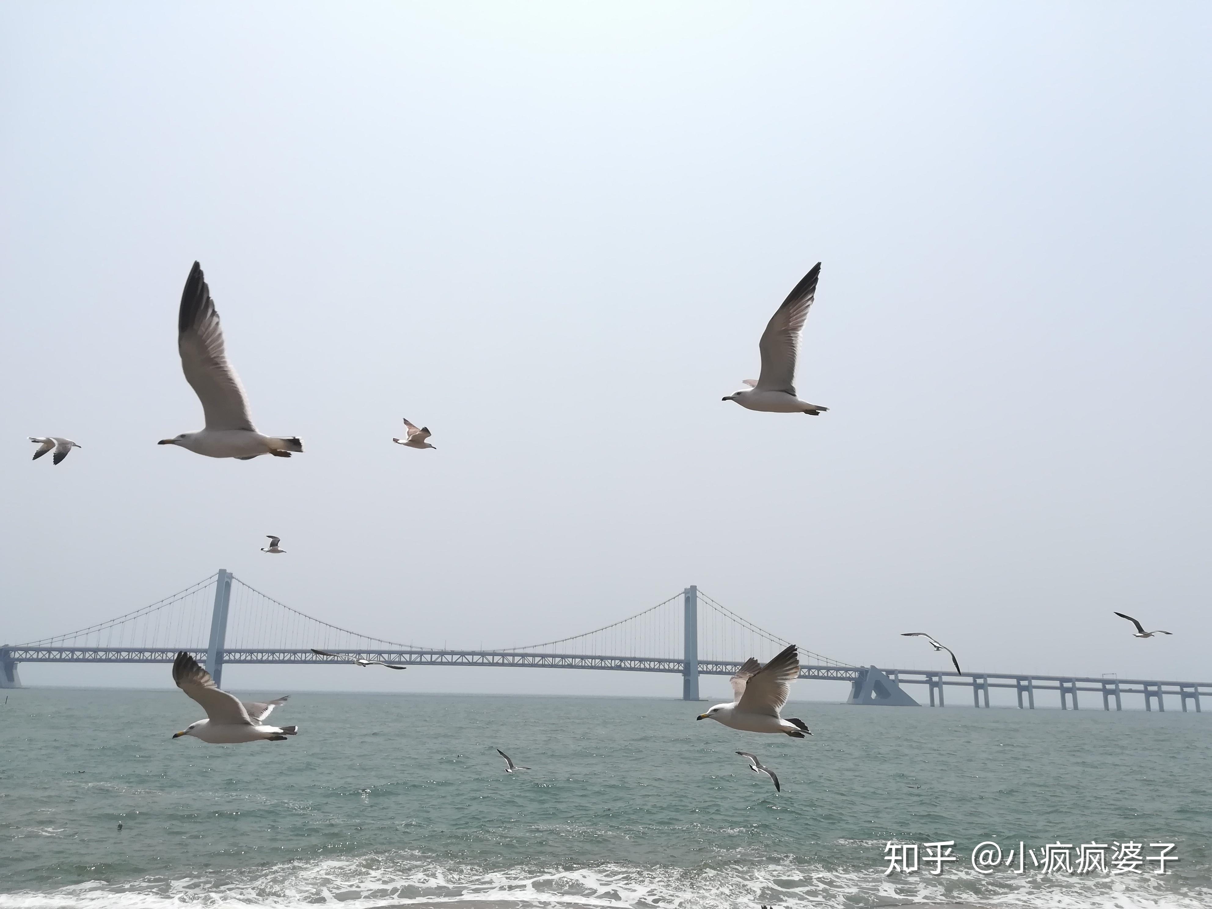 誰說女生不能一個人去旅行不是約炮就是找男朋友可是我都沒有