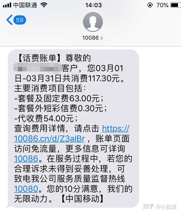 支付移动业务手机是什么软件_移动手机支付业务是什么_支付移动业务手机是什么