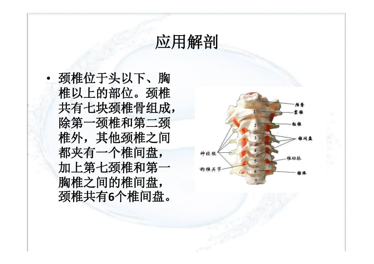 颈椎侧块示意图图片