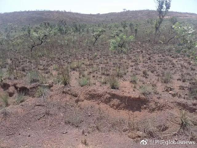 拯救世界的刚果湿地，能否拯救当地人的生活？ - 知乎