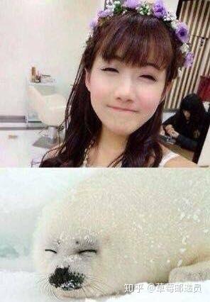 短剧李雨彤，璀璨的演艺之星，璀璨之星，李雨彤的短剧人生