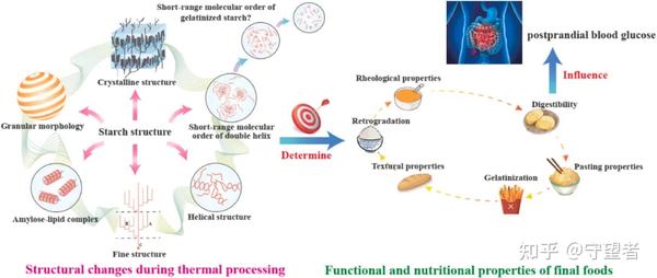 trends-in-food-science-technology