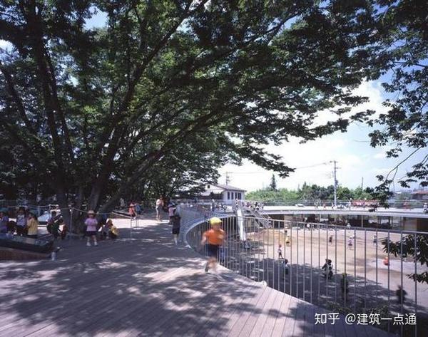 世界上最美丽的幼儿园到底是什么样子的 日本东京富士幼儿园 太阳网络
