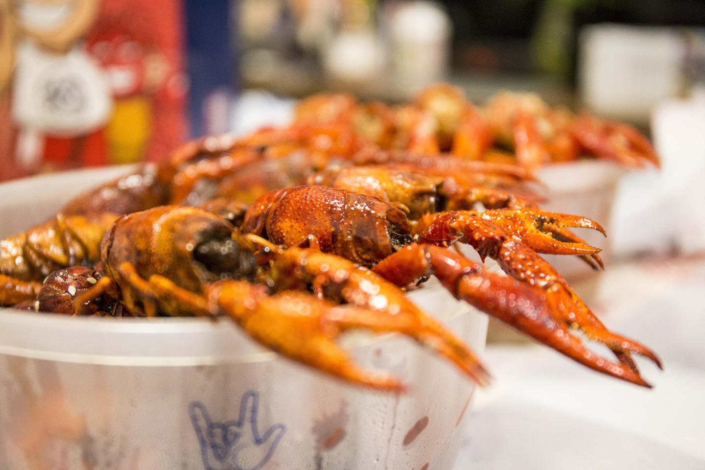 龙虾吃什么长大 v2-43ee2c319b6cb2ecb08febbcab0040c3_1440w.jpg?source=172ae18b