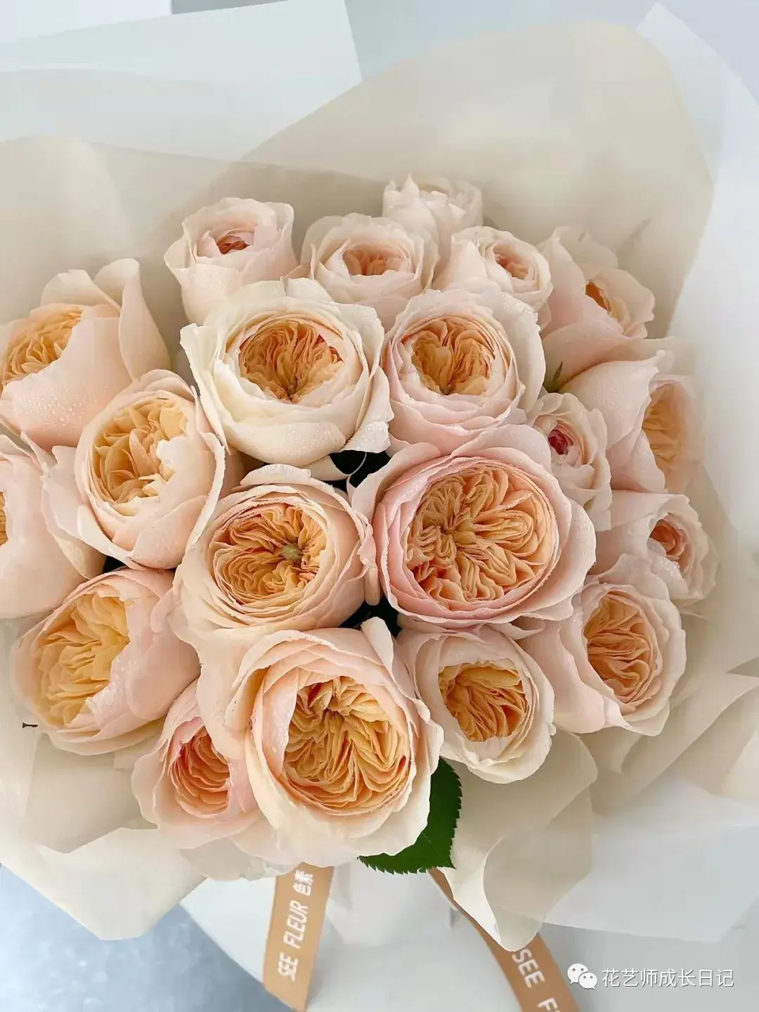 36 | 奥斯汀朱丽叶玫瑰,拥有撑得起所有温柔的颜值! - 知乎