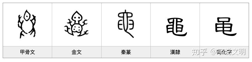 《漢字的字元·鳥獸動物》黽 - 知乎