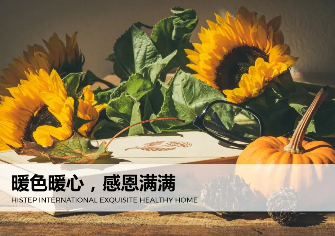 histep暖色暖心,感恩满满在这个"爱"的节日,我们是否也应该为带来温暖