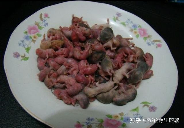 作文素材——残忍会遭天谴!